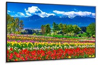 NEC M751  75" LCD Ultra High Definition Professional Display