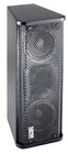 Bag End PTA6002-I  Powered Dual 6" 2-Way Vertical Speaker