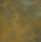 Background Muslin Sheet 10x24 Bracken Brown