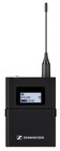 Sennheiser EW-DX-SK-Q1-9 [Demo] Wireless Bodypack Transmitter with 3.5mm Connector