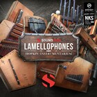 Soundiron Hopkin Instrumentarium: Lamellophones Experimental Percussion for Kontakt Player [Virtual]