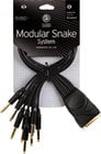 Modular Snake Cable (8 Channel 1/4" TRS Breakout to DB25 Connector)