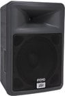 10" Pro Light Speaker