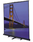 120" x 120" Floor Model C Matte White Projection Screen, Gray Carpet