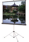 50" x 67" Picture King Matte White Projection Screen, Gray Carpet
