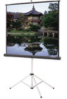 45" x 80" Picture King Matte White Projection Screen