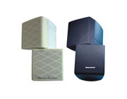10W Wall-Mounted Speaker (with Bracket)