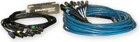Hardwired Snake 12 Ch 50ft