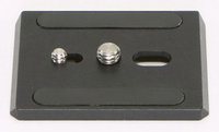 Camera Plate 16