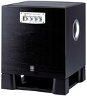 250W Powered Subwoofer