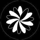 Steel Gobo Organic 2