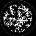 Holly Gobo