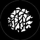 Gobo Twigs