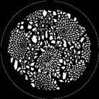 Gobo Floral 4