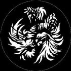 Gobo Jungle Leaf