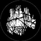 Gobo Spooky Wood
