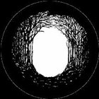 Gobo Winter Glades