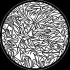 Gobo Shattered Glass