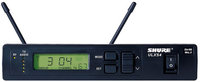 Standard Receiver with PS40 Power Supply and 1/4 Wave Antennas.