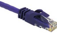 Patch Cable, 1ft Purple Cat6