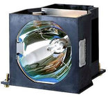 Projector lamp, dual pack