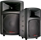 15" 300W Continuous 2-Way Trapezoidal Speaker