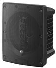 12" Speaker, 2-Way, Black