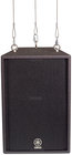 12" Club V Series 2-Way Flyable Speaker