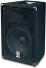 12" 2-Way Loudspeaker