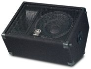 12" 2-Way Passive Stage Monitor, 300W