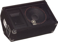 Concert Club V Series 10" 2-Way 500W Peak (8 Ohms) Floor Monitor