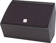 2-Way Sound Reinforcement Monitor