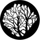 Steel Gobo, Tree 6