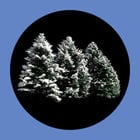 iPro Trees & Foliage Slide