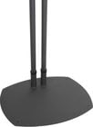 Black Dual Post Floor Stand