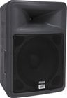 PR Series Portable 2-Way Speaker with 15" Woofer