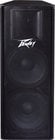 Peavey PV 215 Dual 15" 2-Way Passive Speaker, 700W