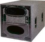 GEO T Series 12" Cardioid Dipolar Subwoofer