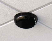 Sensor Ceiling Dome w/50`Cable