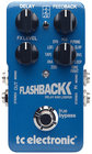 Delay Guitar Pedal with Looper