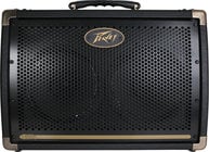 Dual 8" Acoustic Amplifier, 30W