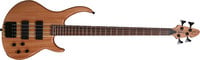 4-String Bass Guitar