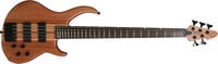 5-String Bass Guitar