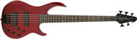 5-String Passive Electric Bass Guitar in Solid Finishes