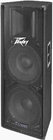 400W Powered PV Series Loudspeaker with 2x 15" Woofers