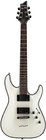 Guitar, Electric w/Floyd Rose