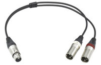 Cable, 5-Pin XLR to dual 3-Pin XLR