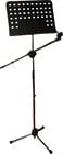 Combination Sheet Music and Microphone Boom Stand