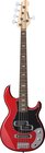 Bass Guitar, 5 String
