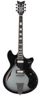 Electric Hollow Body Electric Guitar